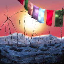 2021 Nature Collection