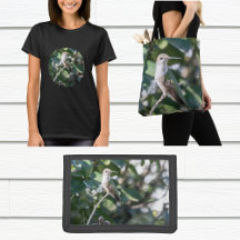 Hummingbird Gifts Design #4Q7A9974