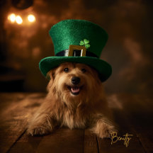 St. Patrick’s Day Collection, Irish Luck design