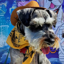 Franklin-wear Apparel & Accessories