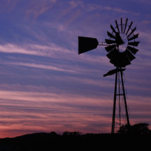 Castoro Cellars Collection