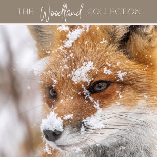 Carte de Noël - couronne & colombe - Paix sur Terr