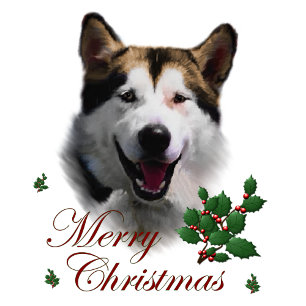Cartes Pour Fêtes Annuelles Alaskan Malamute Cadeaux de Noël