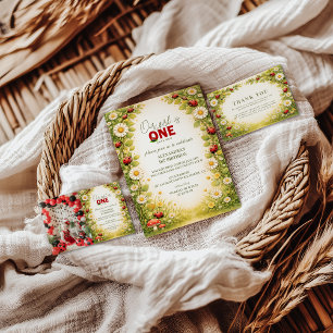 Invitation La Petite Dame Prairie Fête Son Anniversaire