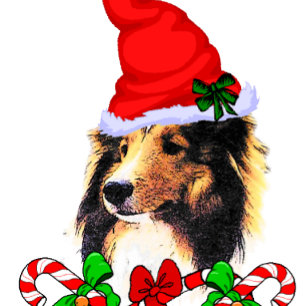 Cartes Pour Fêtes Annuelles Noël Shetland Sheepdog