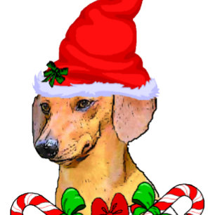 Cartes Pour Fêtes Annuelles Dachshund Amateurs Cadeaux de Noël