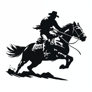 1er Rodeo Cowboy Bannière occidentale pour le prem