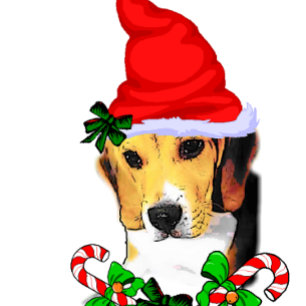 Cartes Pour Fêtes Annuelles Noël Beagle