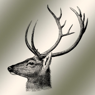 Cartes Pour Fêtes Annuelles Noël Salutation Floral Reindeer Golden Winter