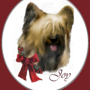 Cartes Pour Fêtes Annuelles Cadeaux de Noël Briard