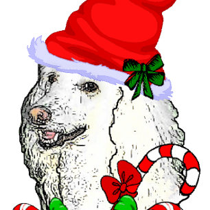 Cartes Pour Fêtes Annuelles Noël mignon de Père Noël de caniche