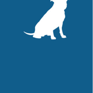 Invitation Pit Bull Chien Baby shower Blue Boy Pitbull