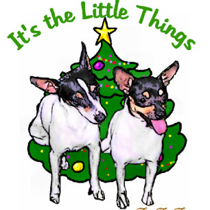 Cartes Pour Fêtes Annuelles Toy Fox Terrier Cadeaux de Noël