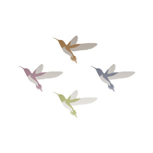 Invitation Joli Mariage Hummingbirds