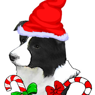 Cartes Pour Fêtes Annuelles Bordure Collie Noël