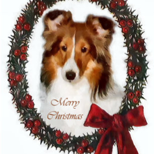 Cartes Pour Fêtes Annuelles Cadeaux de Noël de Sheltie de chien de berger de