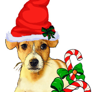 Cartes Pour Fêtes Annuelles Jack Russell Terrier Noël