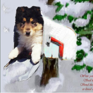 Cartes Pour Fêtes Annuelles Tri-Color Collie Puppy Cadeaux de Noël