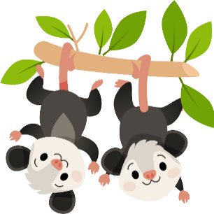 Banderoles Jolis opossums Bienvenue à l'anniversaire personna