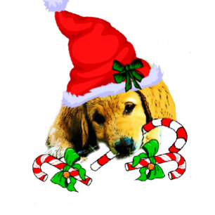 Cartes Pour Fêtes Annuelles Joli Golden Retriever Puppy Noël