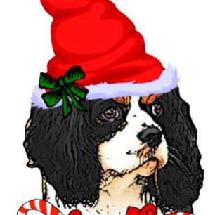 Cartes Pour Fêtes Annuelles Noël Cavalier King Charles Spaniel