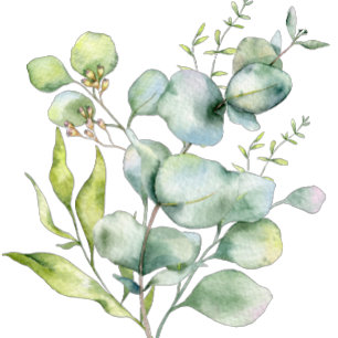 Eucalyptus Fête des mariées Jeu de Bingo