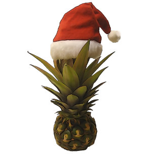 Carte à ananas Santa Hat Flat Note.