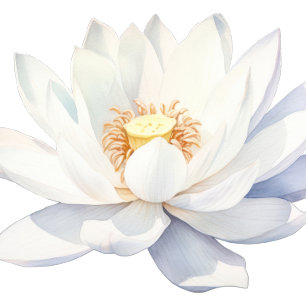 Spa Day Merci étiquette autocollant