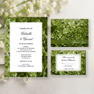 Green Annabelle Hydrangea Mariage Floral RSVP