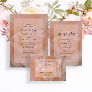 Cartons Réponse Rose rose pâle rose rose rose rose flamme mariage 