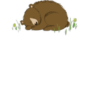 Invitation Baby shower Ours Brown Animaux de forêt