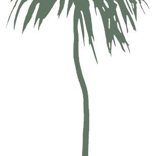 Carte Mele Kalikimaka Hawaiian Christmas Palm Card