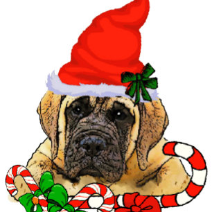 Cartes Pour Fêtes Annuelles Noël anglais mignon de chiot de mastiff
