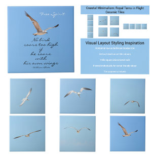Carreau Royal Tern en vol Ailes disperser Sky Coastal Blue