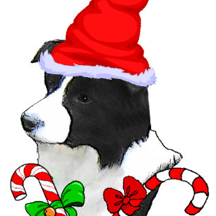 Cartes Pour Fêtes Annuelles Jolie Bordure Collie Noël
