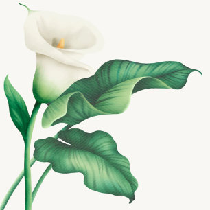 Invitation Elégant Baby shower à fleurs Lilly Aquarelle