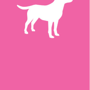 Invitation Labrador Baby shower chien Lab Fille rose