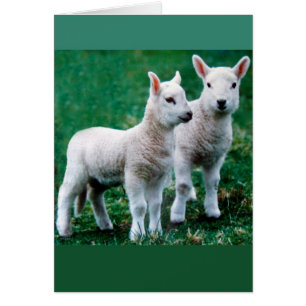 Sven et vieille carte