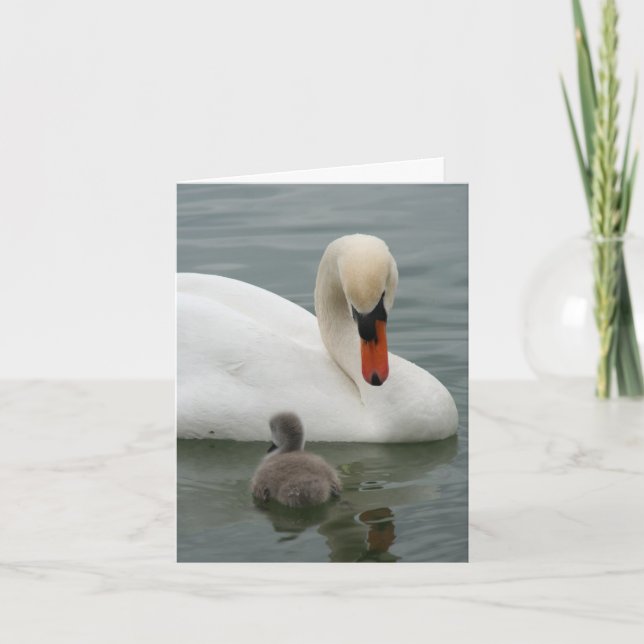 Swan Baby Faire-part (Devant)