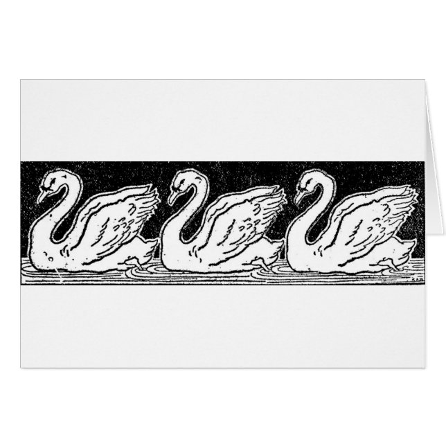 Swans (Devant horizontal)