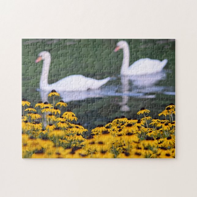 Swans in the Garden - Puzzle (Horizontal)