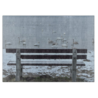 Swans, lac et banc - planche à découper