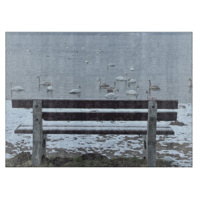Swans, lac et banc - planche à découper (Devant)