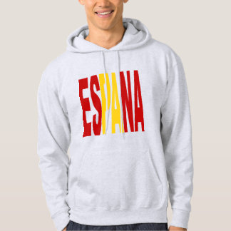 Sweat à capuche cendre homme  ESPANA