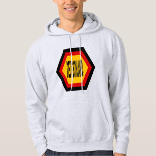 Sweat à capuche cendre homme GERMANY (DEUTSCHLAND)