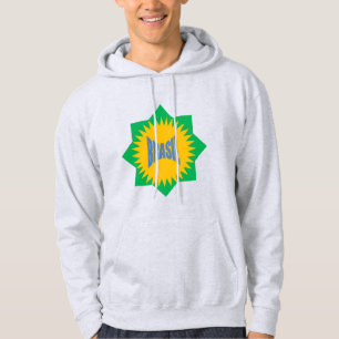 Sweat à capuche cendre homme SUN BRASIL