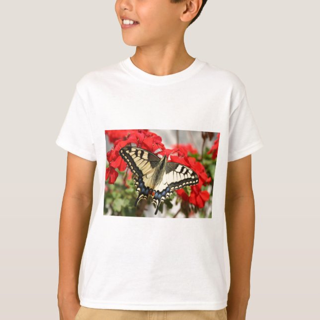 Sweat Anise Swallowtail (Devant)
