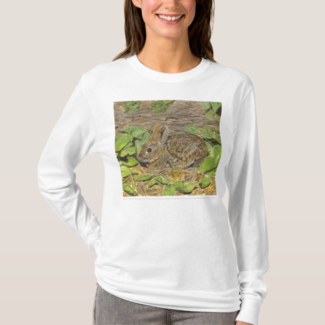 Sweat - shirt à capuche de lapin (Devant)
