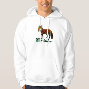 Sweat - shirt à capuche du Fox des hommes