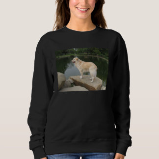 Sweatshirt A Dog At A Pond
